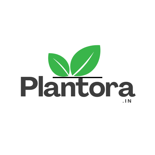 Plantasia